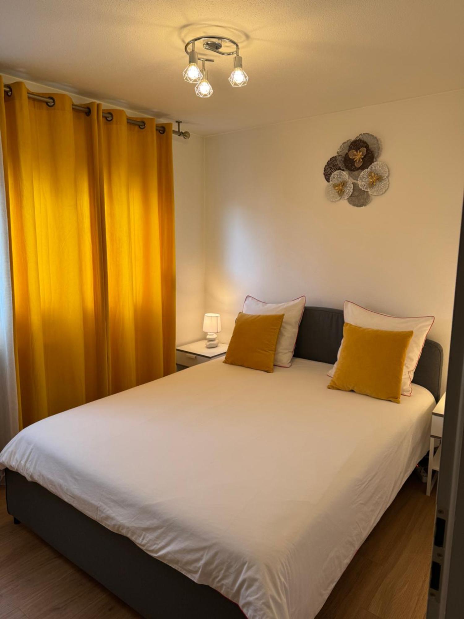 Sion City Mulhouse Centre - Parking Et Balcon-Wifi 5G Gratuit Esterno foto